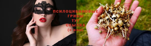 прущие грибы Арсеньев