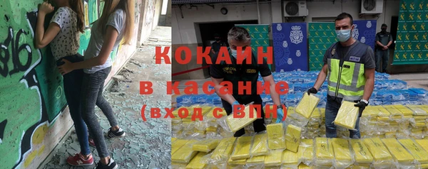 прущие грибы Арсеньев