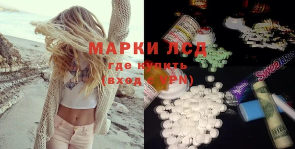 прущие грибы Арсеньев